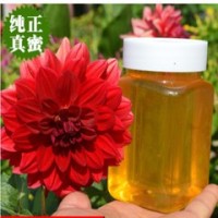 【厂家直供】 秦岭深山土特产纯农家自产天然百花结晶蜂蜜